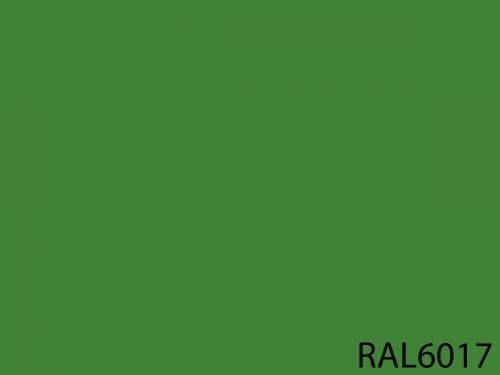 RAL 6017