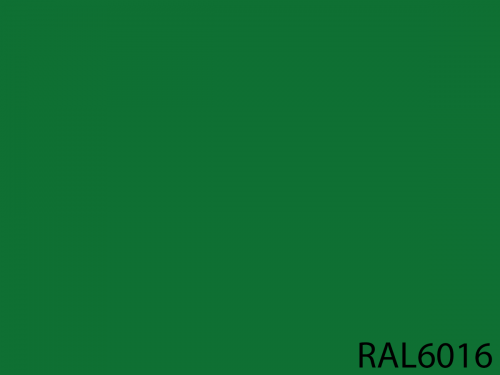 RAL 6016